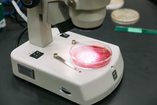 A microscope with a red light illuminating the specimen